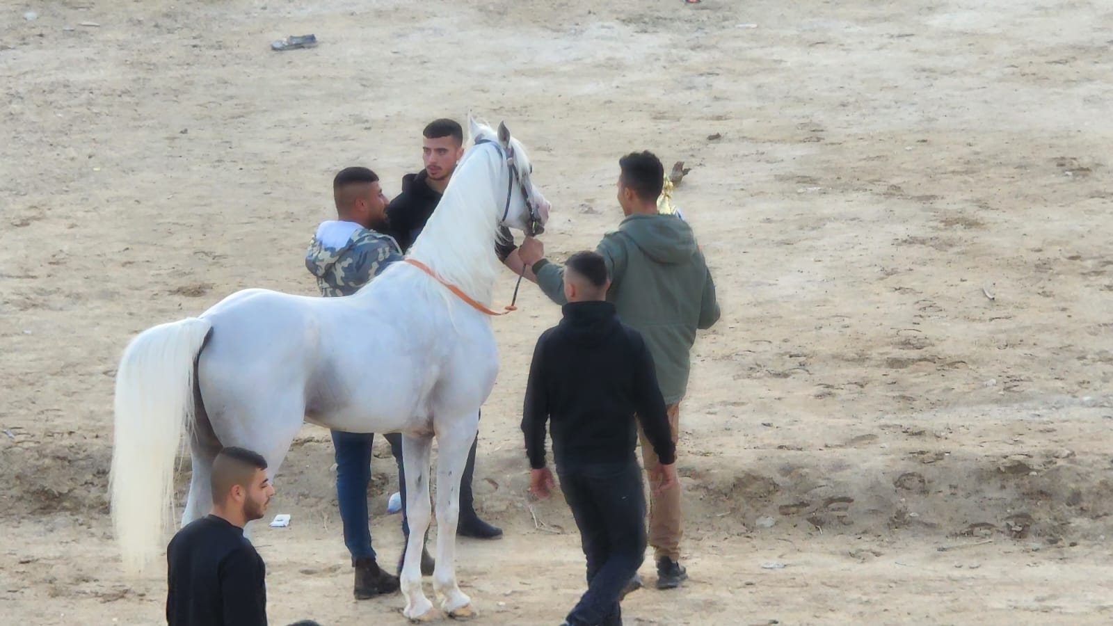 WhatsApp Image 2023-01-07 at 12.08.42 PM (1).jpeg